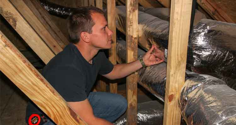 Home Repairs & Maintenance
